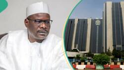 Relocation of FAAN, CBN: “My 2 daughters are married to Yoruba men”, Ndume replies 'attackers'