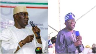 BREAKING: Tinubu sends strong message to Atiku as former VP wins PDP presidential primary