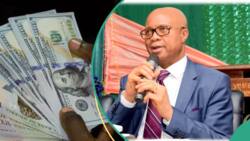 FG hints at new strategy to stabilise naira, address forex supply