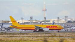 DHL tracking status meanings: What does each status mean?