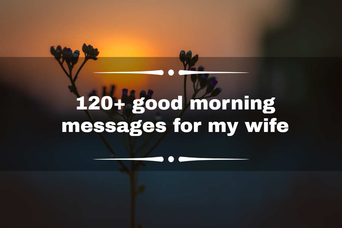 120+ good morning messages for my wife: Best ideas to use - Legit.ng