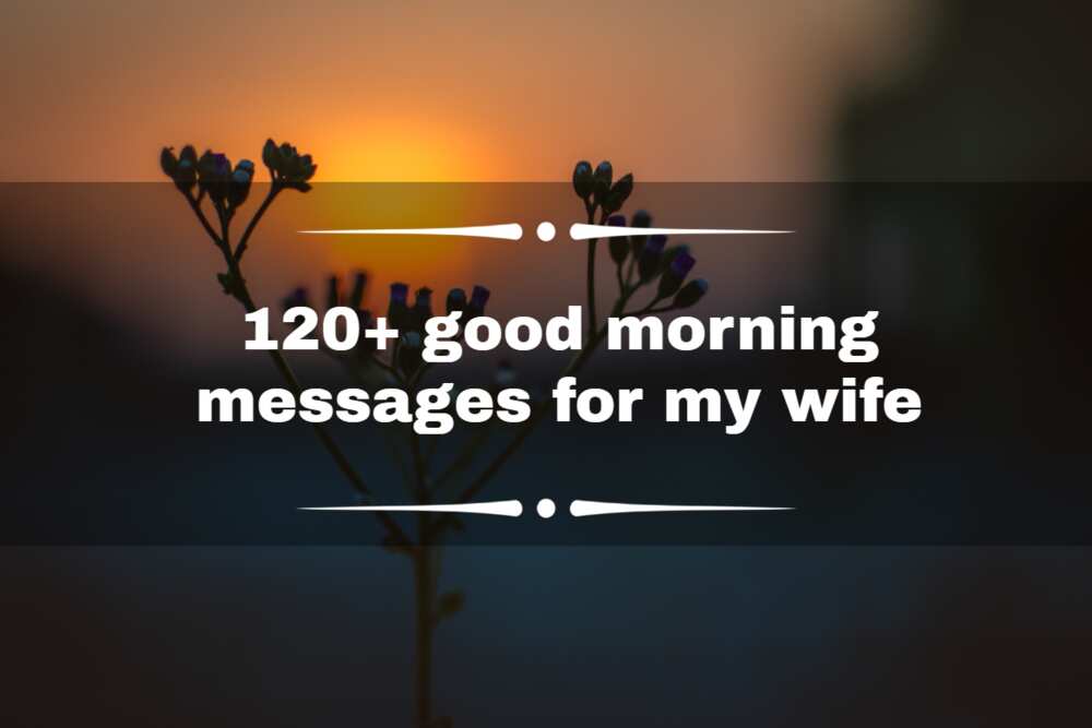 150+ Cute Good Morning Love Letters For Her And Him