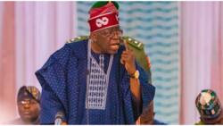 Persons with criminal records, 4 other categories cannot access president Tinubu’s student loan