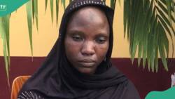 "I don’t want to go back to school": Chibok girl wants to officially marry Boko Haram husband