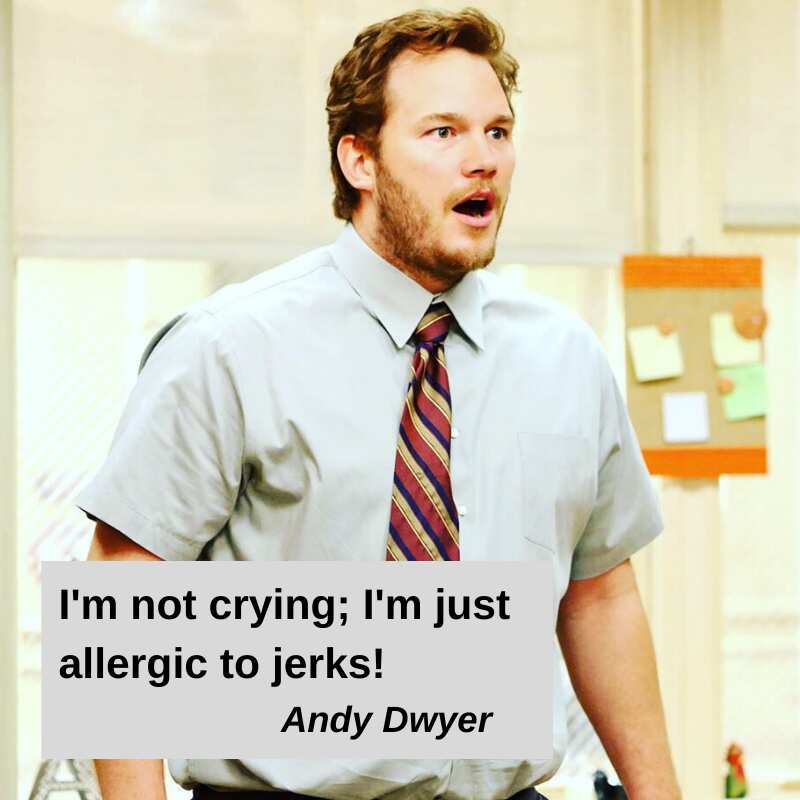 Andy Dwyer quotes