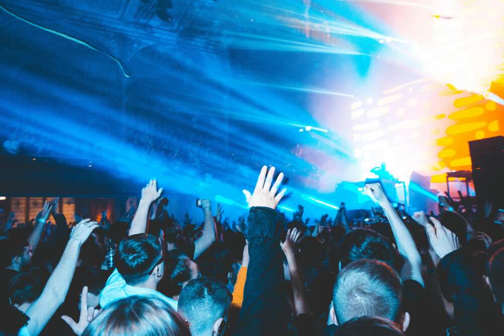 People raising hands in a disco party
