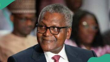 “Give us few Months”: Dangote sends message to Nigerians after appointment by Tinubu