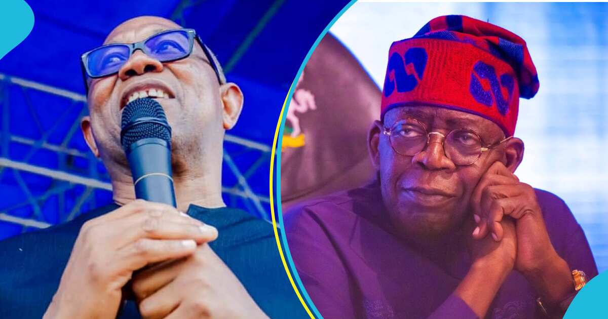 Real truth emerges about Peter Obi 'meeting Tinubu', bowing for President