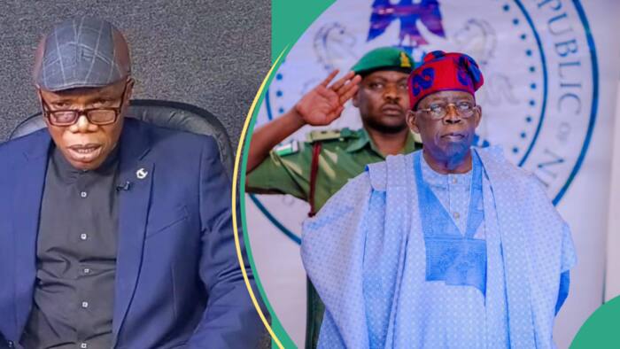 Political analyst reveals how PDP, LP can defeat Tinubu