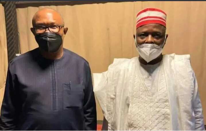 Peter Obi and Kwankwaso