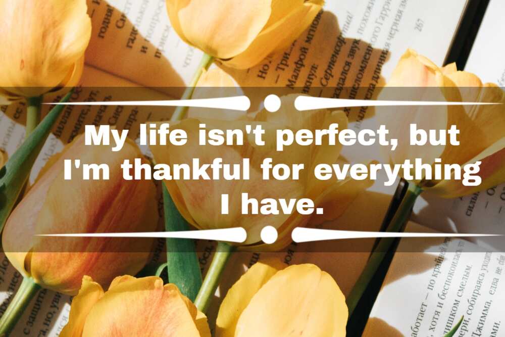 Thankful and blessed quotes