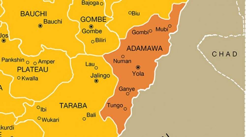 Mayakan Boko Haram sun sace mata 4 a Adamawa