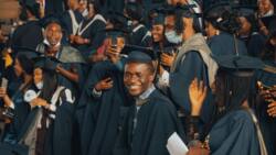 Best university in Nigeria: top 10 educational institutions