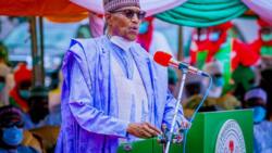 Buhari says he is surprised that large percentage of land in Nigeria has not been used for farming