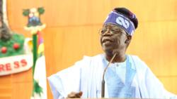2023: Bad omen for Tinubu as powerful southwest politicians defect from APC to PDP