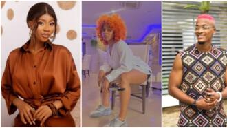 “People love love”: BBNaija’s Modella advises Phyna to continue to pursue her relationship with Groovy