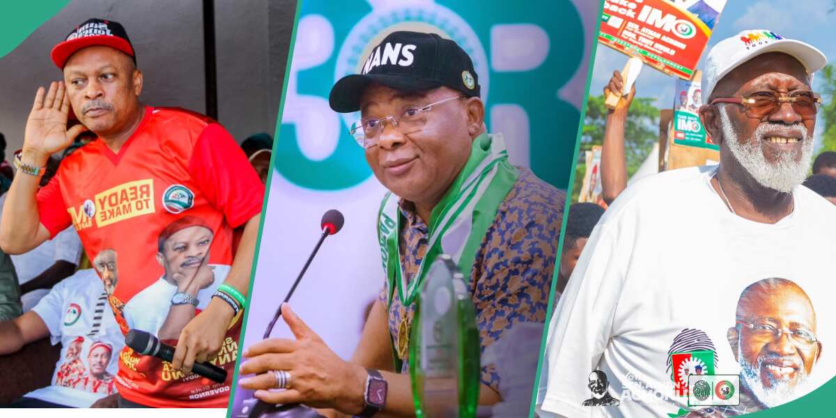 Who will win Imo election? See the full list of top contenders including Hope Uzodimma