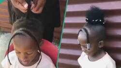 Hair stylist plaits young girl's tiny hair, netizens hail her: "She can hold our economy"