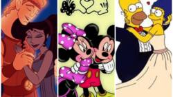 30 most iconic cartoon couples of all time from movies and shows