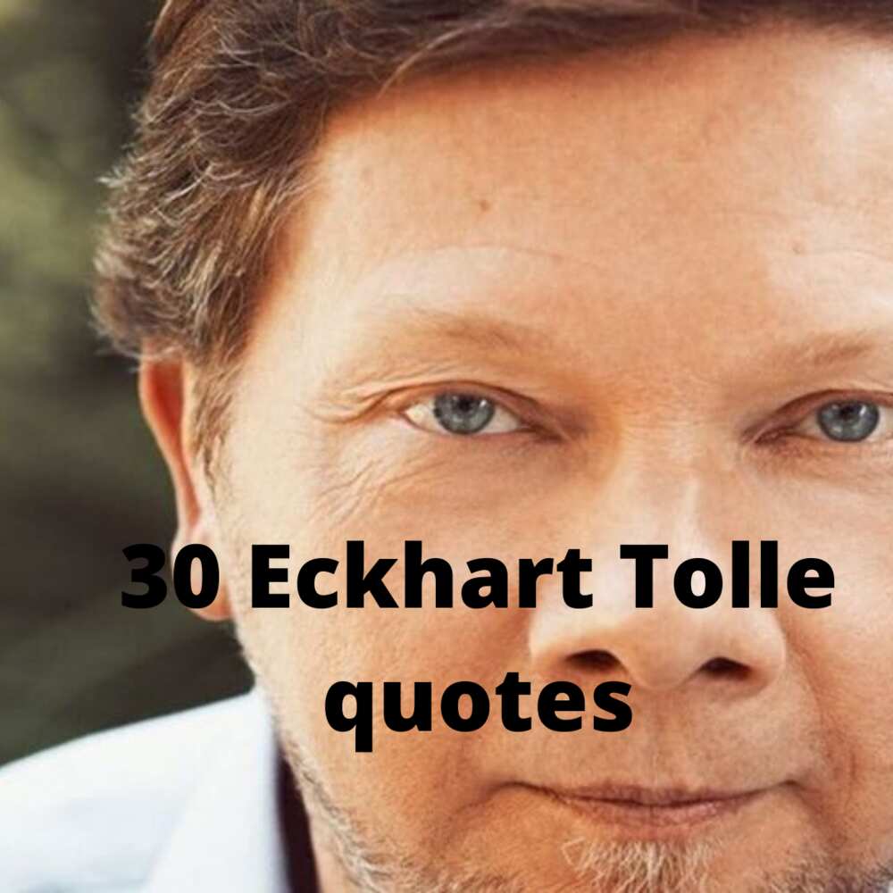 30 enlightening Eckhart Tolle quotes from some of his best works - Legit.ng