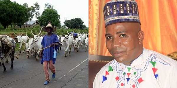 If you kill herder, don't sleep we'll retaliate, tension as Fulani cattle-rearers threaten