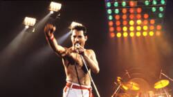 Biographie de Freddie Mercury : origine, Queen, carrière, fin de vie