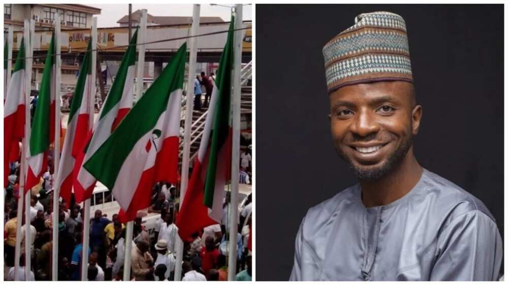 2023 Presidency, Ayoola Falola, PDP, Nomination Fee