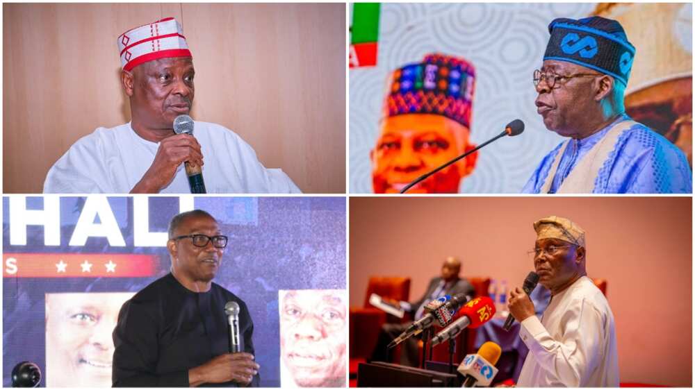 Kwankwaso, Tinubu, Obi Peter and Atiku