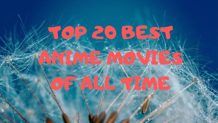 Top 15 best romance anime movies of all time (with pictures) Legit.ng