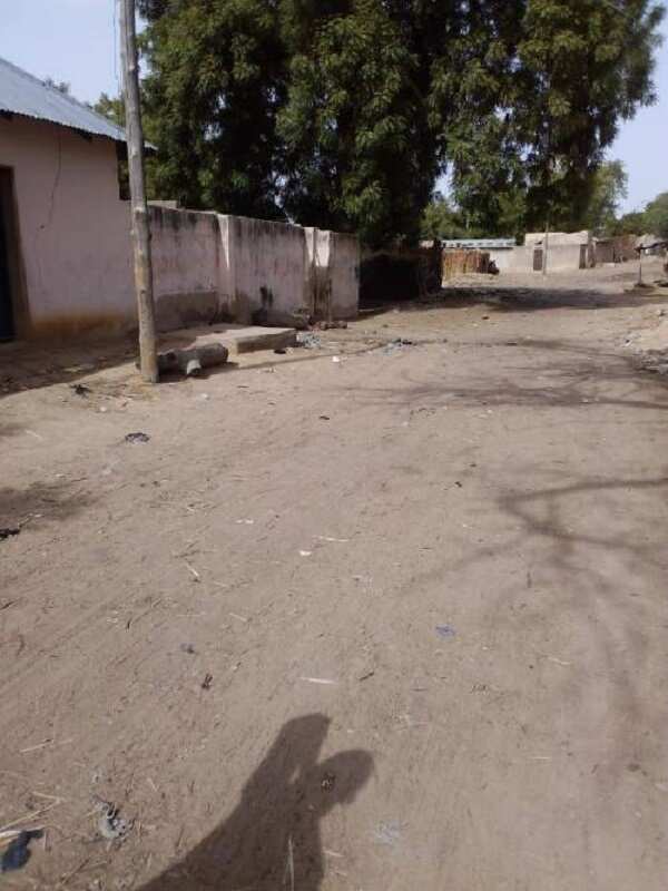 Boko Haram: Yadda Dapchi ta koma 'kufai' bayan harin 'yan ta'adda (Hotuna)