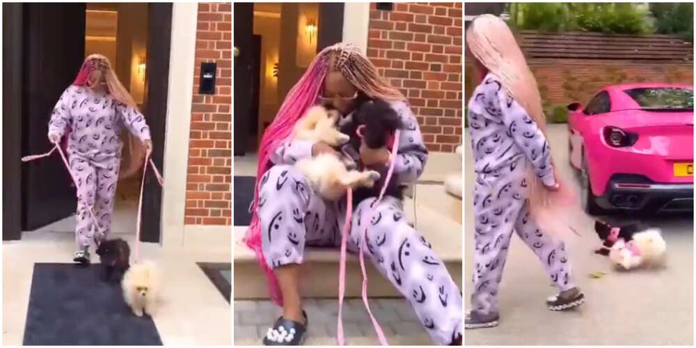You’re Supposed to Take Your Kids: Reactions as DJ Cuppy, Her Dogs DuDu and FunFun Visit Grandpa Femi Otedola