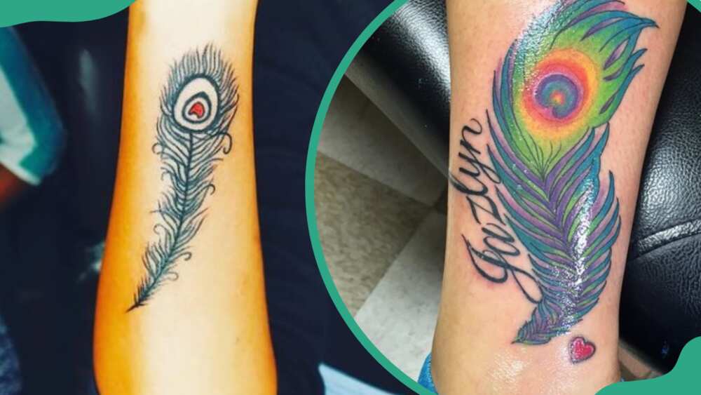 Peacock feather tattoos