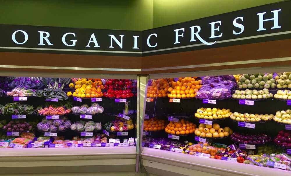 genetically modified organisms pros and cons genetically modified organisms pros and cons