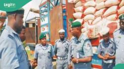 Customs suspends sale of seized food Items, gives reason