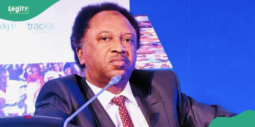 Shehu Sani, PDP, tuition hike, Bola Tinubu's FG Shehu Sani, PDP, tuition hike, Bola Tinubu's FG