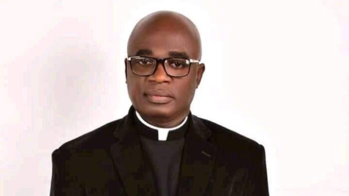 Why catholic priests must not run for elective positions, clergyman reveals