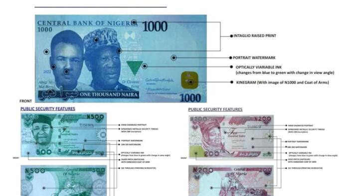 CBN releases security features of new naira notes as fake notes emerge