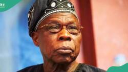 “Democracy that nurtures unemployment is a failure”: Obasanjo urges Nigeria to rethink