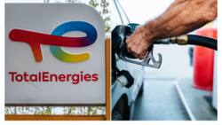 Hike in petrol prices: Top Nigerian oil marketers record huge gains, Seplat leads with N152 billion