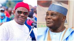 PDP Presidential Primaries: 2 Prominent PDP presidential aspirants who may emerge winner