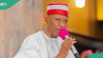 How Kano governor, Yusuf allegedly struck deal to join APC, former commissioner explains