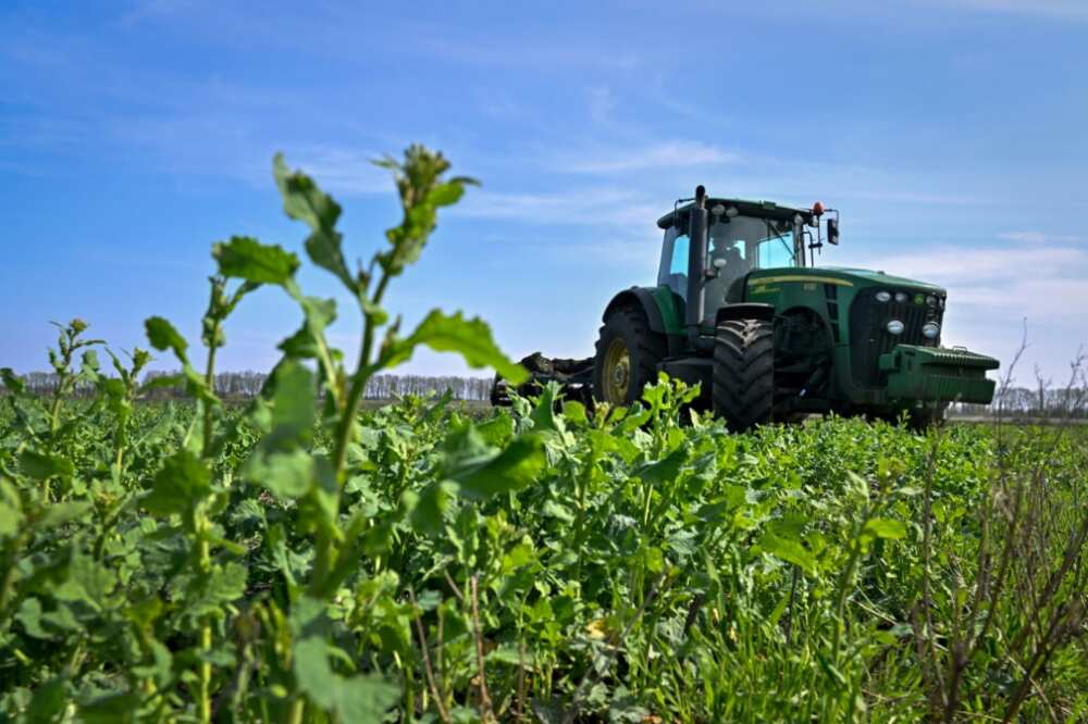 The export of Ukrainian grain and assorted meals merchandise is inflicting tension in definite eastern EU countries as farmers genuinely feel the pinch of opponents The export of Ukrainian grain and assorted meals merchandise is inflicting tension in definite eastern EU countries as farmers genuinely feel the pinch of opponents