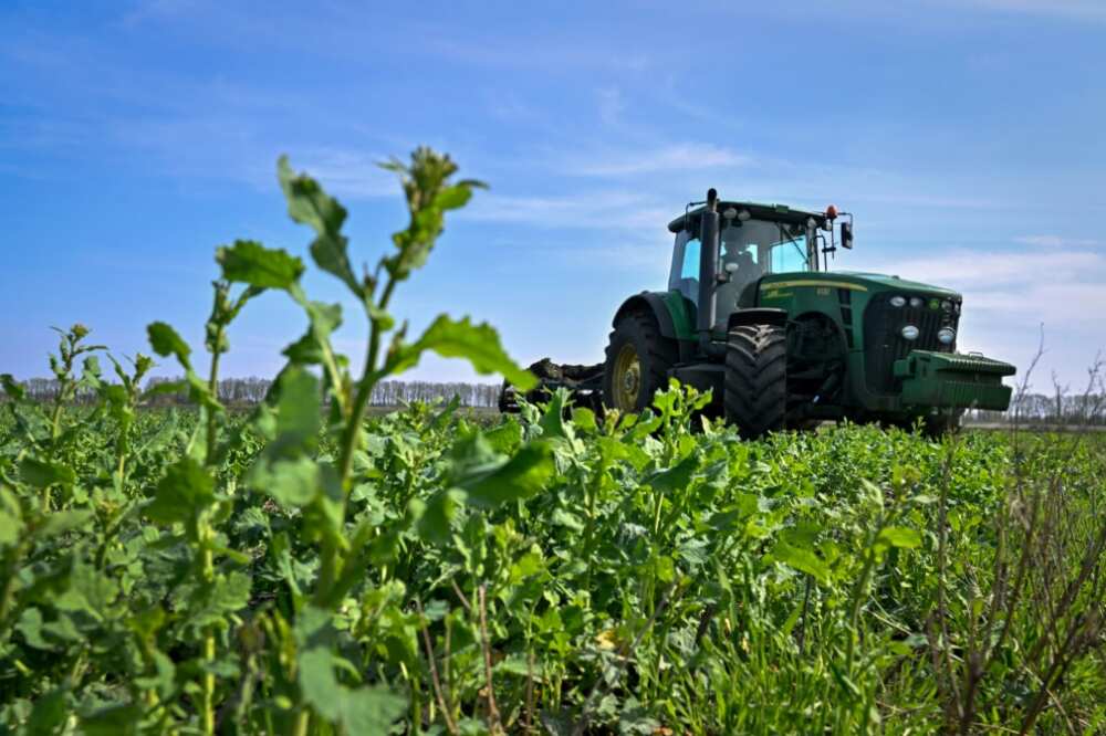 The export of Ukrainian grain and other food products is causing tension in certain eastern EU nations as farmers feel the pinch of competition