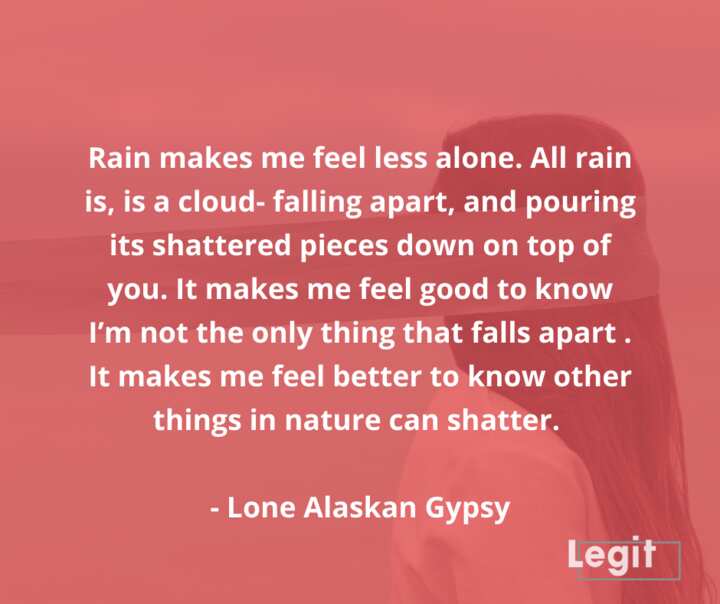 35 beautiful rain quotes for every kind of mood you could be in - Legit.ng