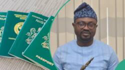 Pay N25,000: FG unveils online passport application portal, here is how to apply