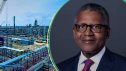 FG speaks on fixing prices for Dangote refinery as Nigerians anticipate cheaper fuel