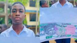 "CBN should give him scholarship": Secondary school student uses different colours of pencil to draw N200 note