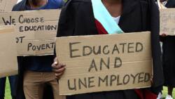 Unemployment in Nigeria 2022: causes, effects and solutions