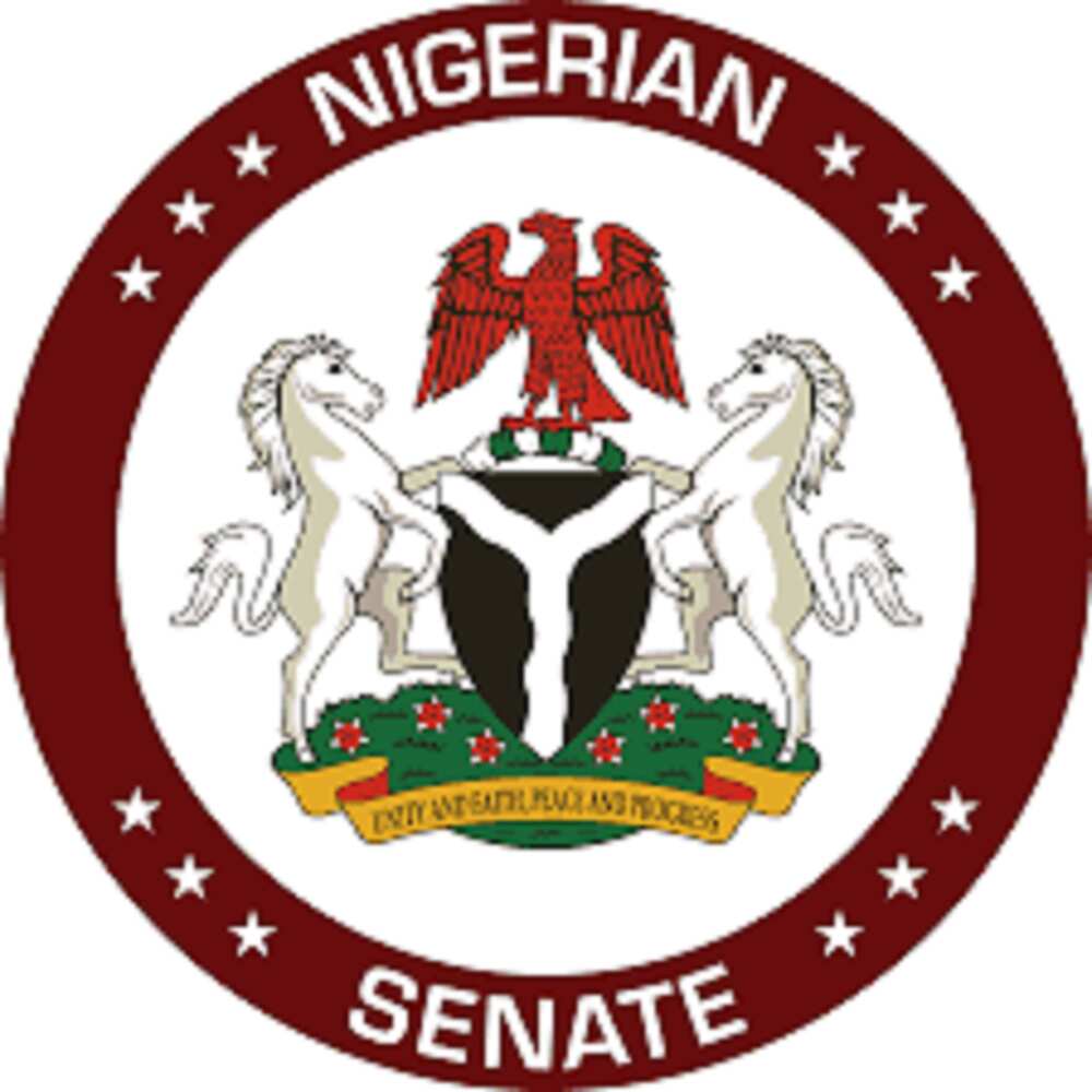 Ba mu samu kudi ko yana tallafin korona daga Buhari ba, Sanatoci Ba mu samu kudi ko yana tallafin korona daga Buhari ba, Sanatoci