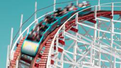 L'Euthanasia Coaster : mourir de sensations fortes dans un grand huit ?